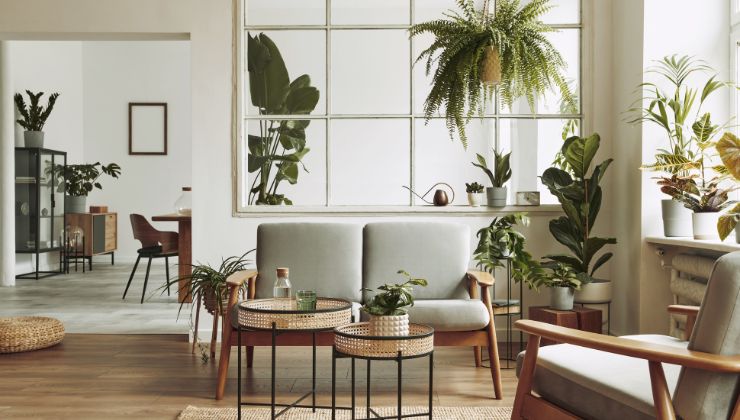 Greenery for Freshness