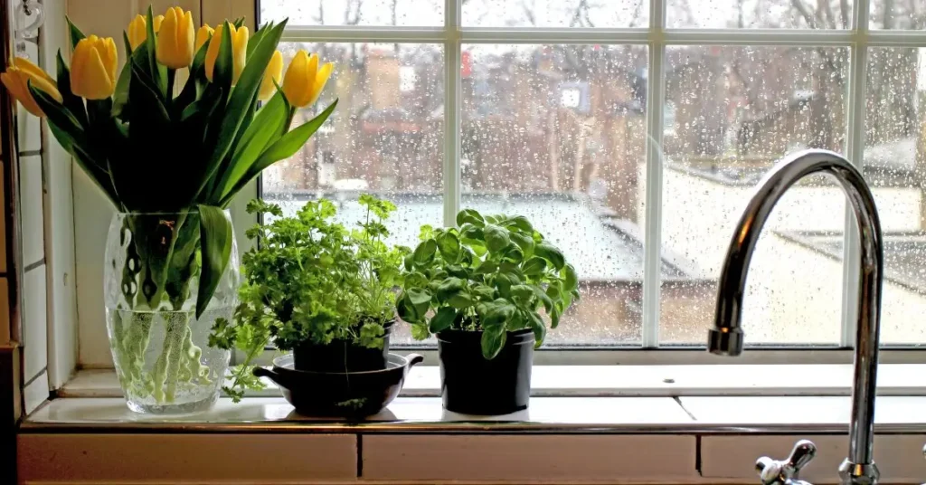 Monsoon Home Decor Ideas