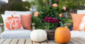 Make your Fall Flower Pots Colorful​